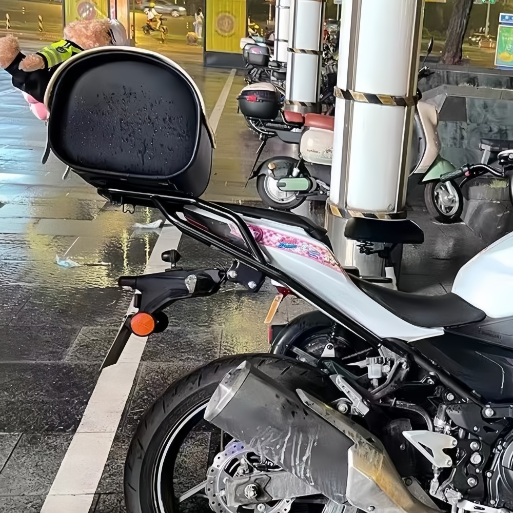 Portaequipajes Trasero para Ni - Motorcycle Gear Rack reseña y precio